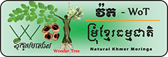 wotnaturalkhmermoringa.com
